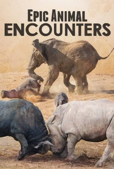 Epic Animal Encounters (2019) онлайн бесплатно
