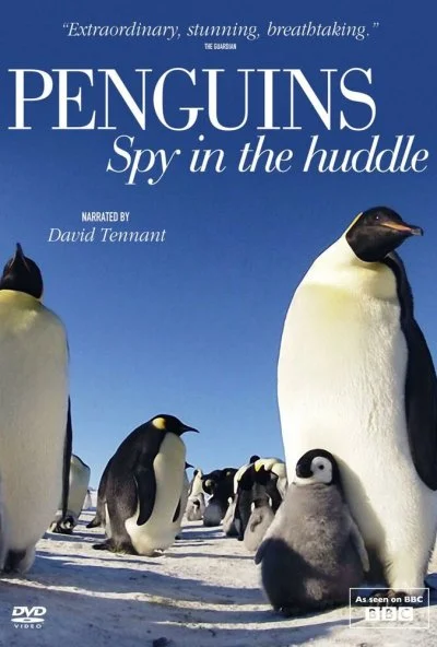 Пингвины: Шпион в толпе (2013) онлайн бесплатно