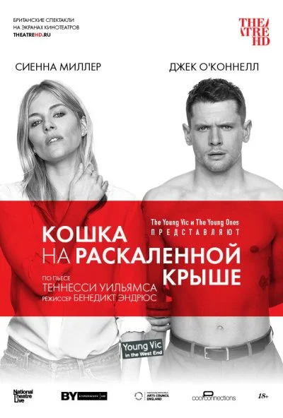 Кошка на раскалённой крыше (2018) онлайн бесплатно